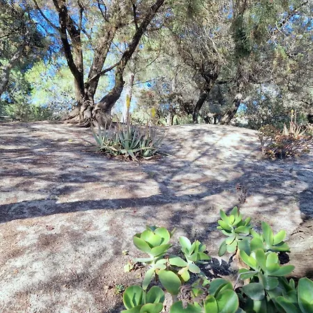 Semesterbostad Ibiscus, Notteri Villasimius