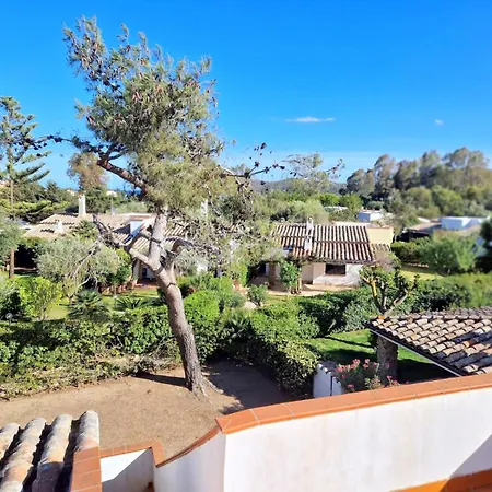 Ibiscus, Notteri * Villasimius