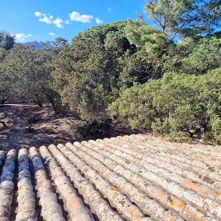 Ibiscus, Notteri Semesterbostad