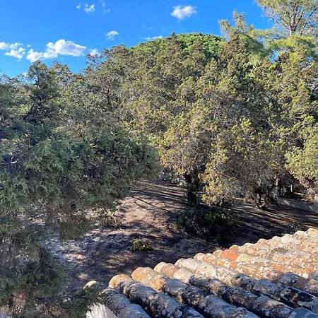 Ibiscus, Notteri * Villasimius