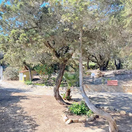 Ibiscus, Notteri * Villasimius