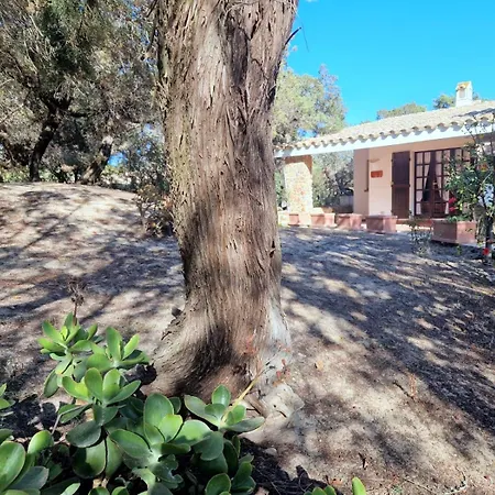 בית נופש Ibiscus, Notteri