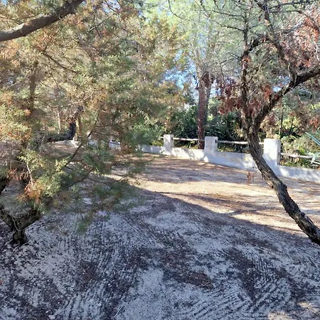 Ibiscus, Notteri בית נופש