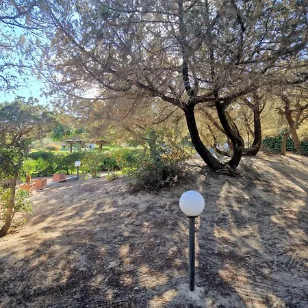 Ibiscus, Notteri בית נופש וילסימיוס