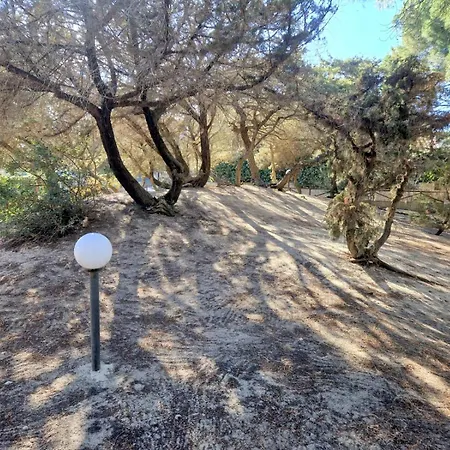 Ibiscus, Notteri בית נופש וילסימיוס