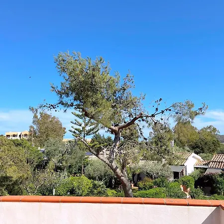 בית נופש Ibiscus, Notteri