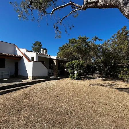 בית נופש Ibiscus, Notteri וילסימיוס