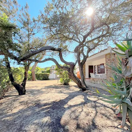 Ibiscus, Notteri בית נופש *