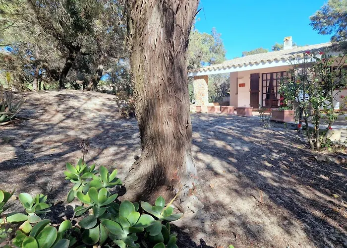 Holiday home Ibiscus, Notteri