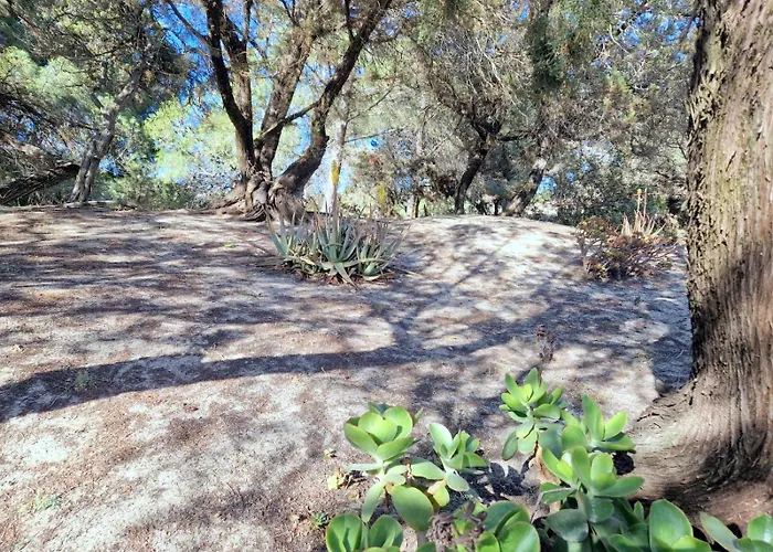 Holiday home Ibiscus, Notteri Villasimius