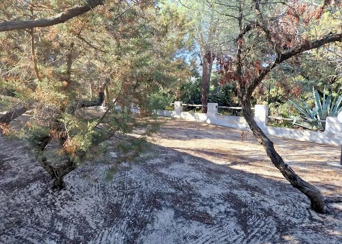 Ibiscus, Notteri Holiday home