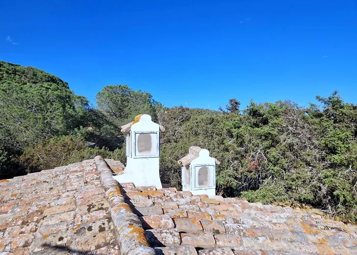 Ibiscus, Notteri * Villasimius