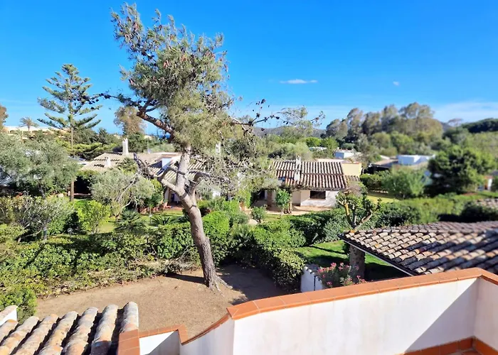 Ibiscus, Notteri * Villasimius