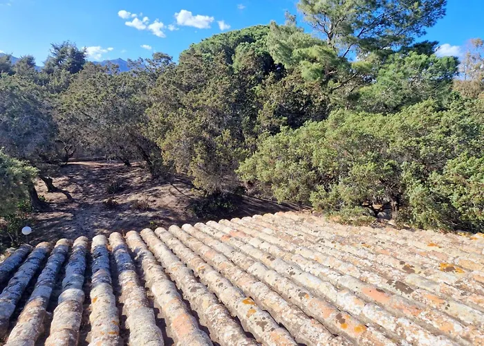 Ibiscus, Notteri Holiday home