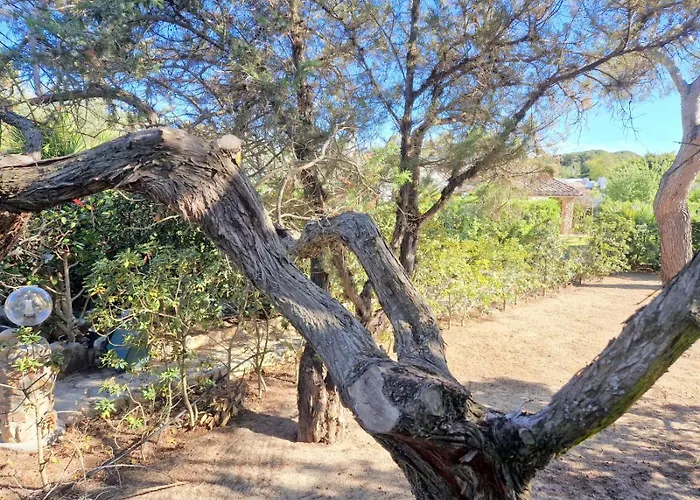 Ibiscus, Notteri Holiday home