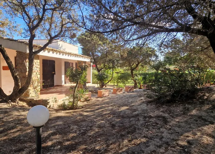 Ibiscus, Notteri Villasimius