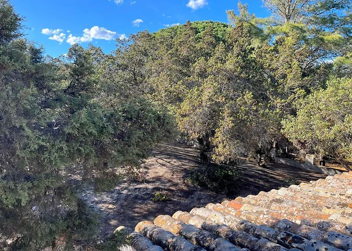 Ibiscus, Notteri * Villasimius