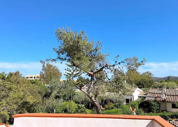 Holiday home Ibiscus, Notteri