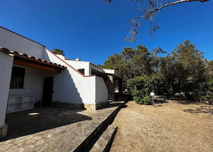 Ibiscus, Notteri Villasimius