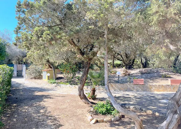 Ibiscus, Notteri * Villasimius