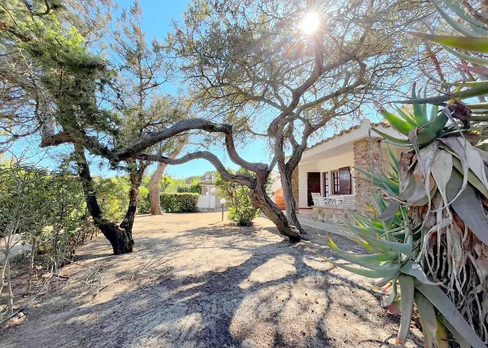 Ibiscus, Notteri Holiday home *